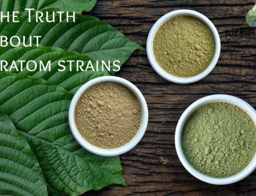 The Truth About Kratom Strains